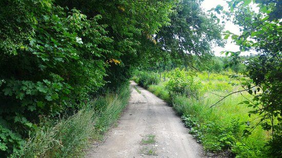 Rezerwat przyrody Dolina Kłodawy